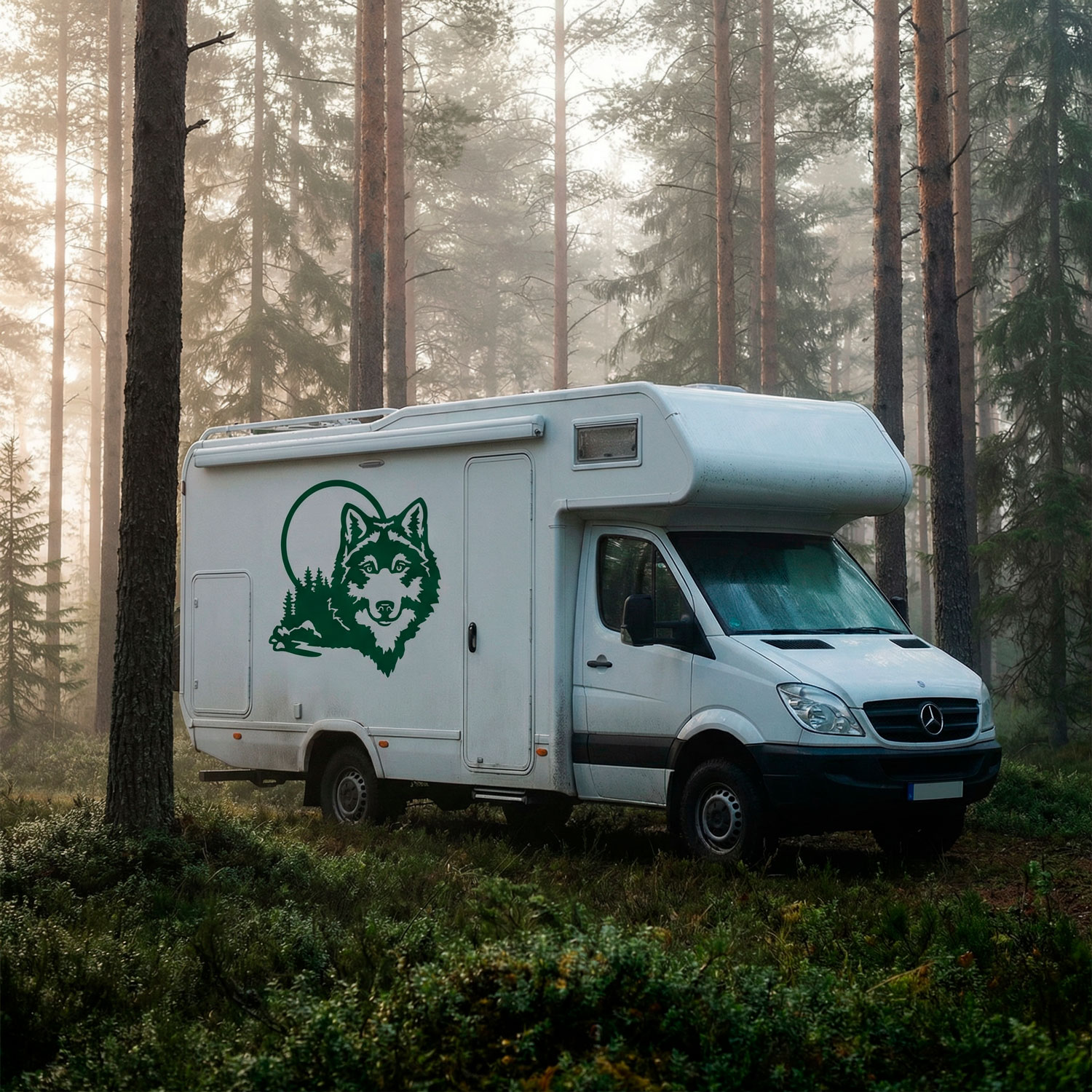 Vinilos autocaravanas: Lobo en el bosque