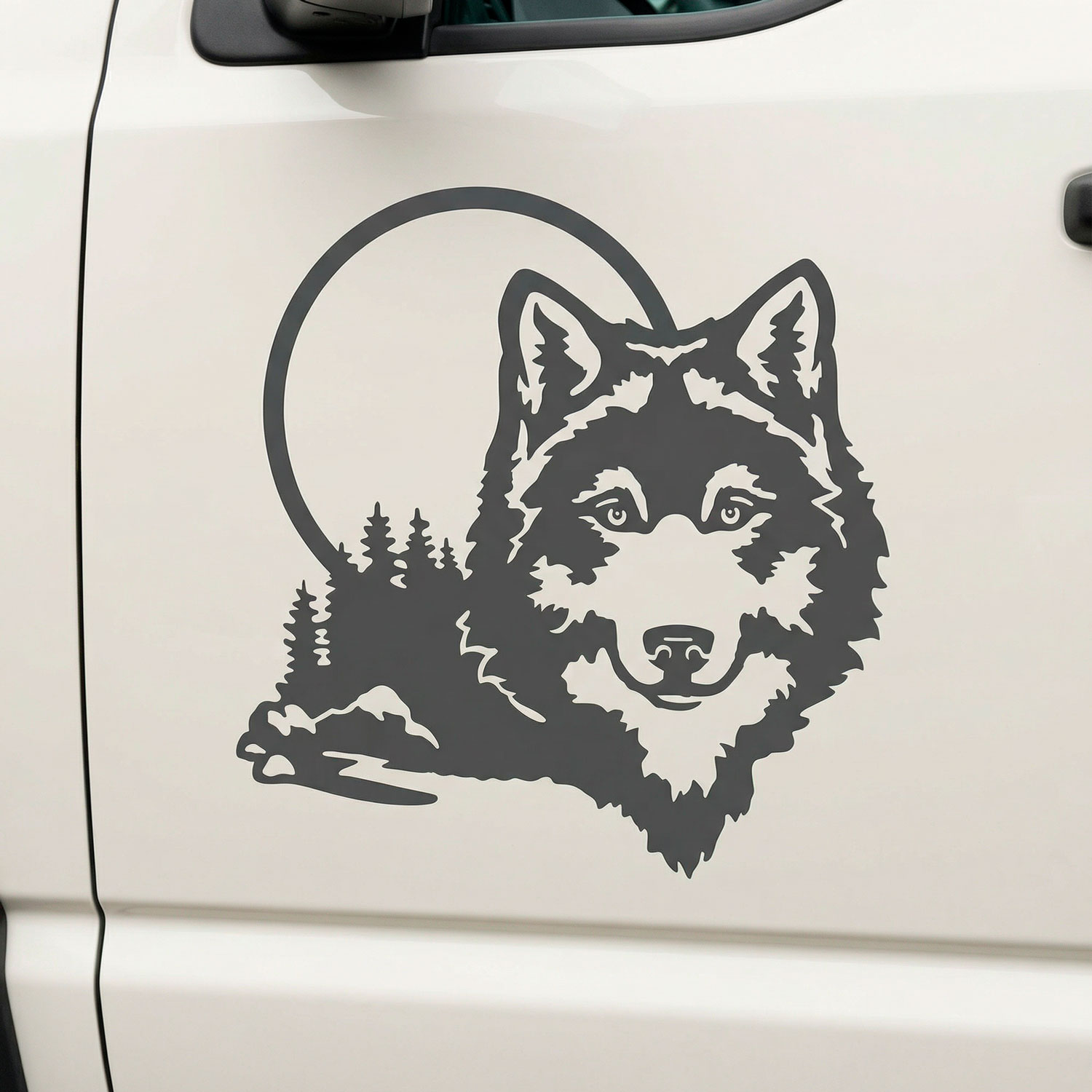 Vinilos autocaravanas: Lobo en el bosque