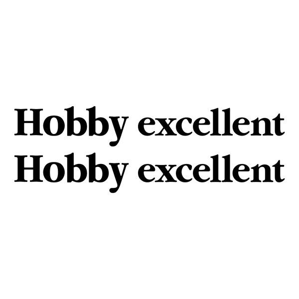 Vinilos autocaravanas: Hobby excellent