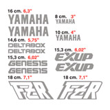 Pegatinas: kit Yamaha FZR 2