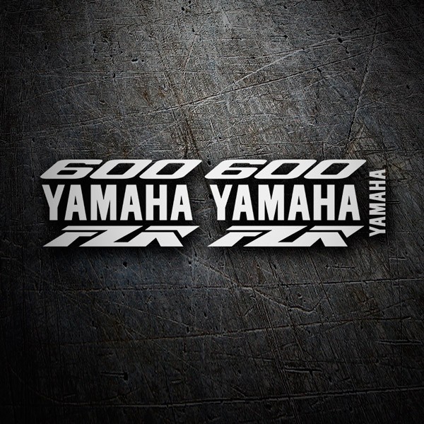 Pegatinas: Kit Yamaha FZR 600 custom II